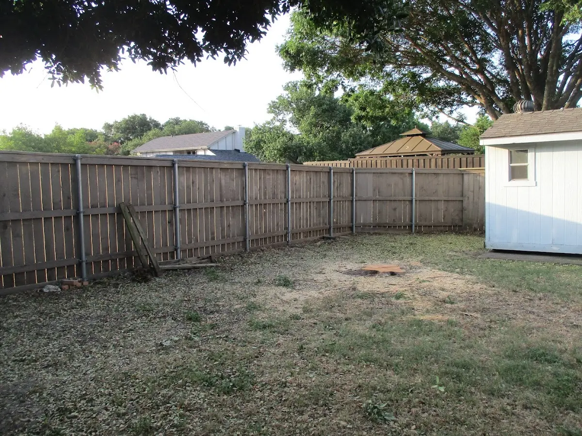 Cleared yard after professional tree removal in Holbrook